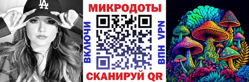 ОМГ ОМГ вход Юрьев-Польский Псилоцибиновые грибы Magic Shrooms