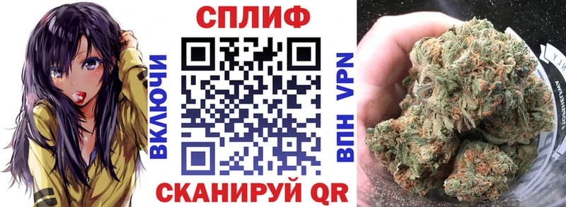 Конопля ГИДРОПОН  Юрьев-Польский 